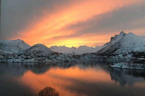 Stor leilighet ved havet